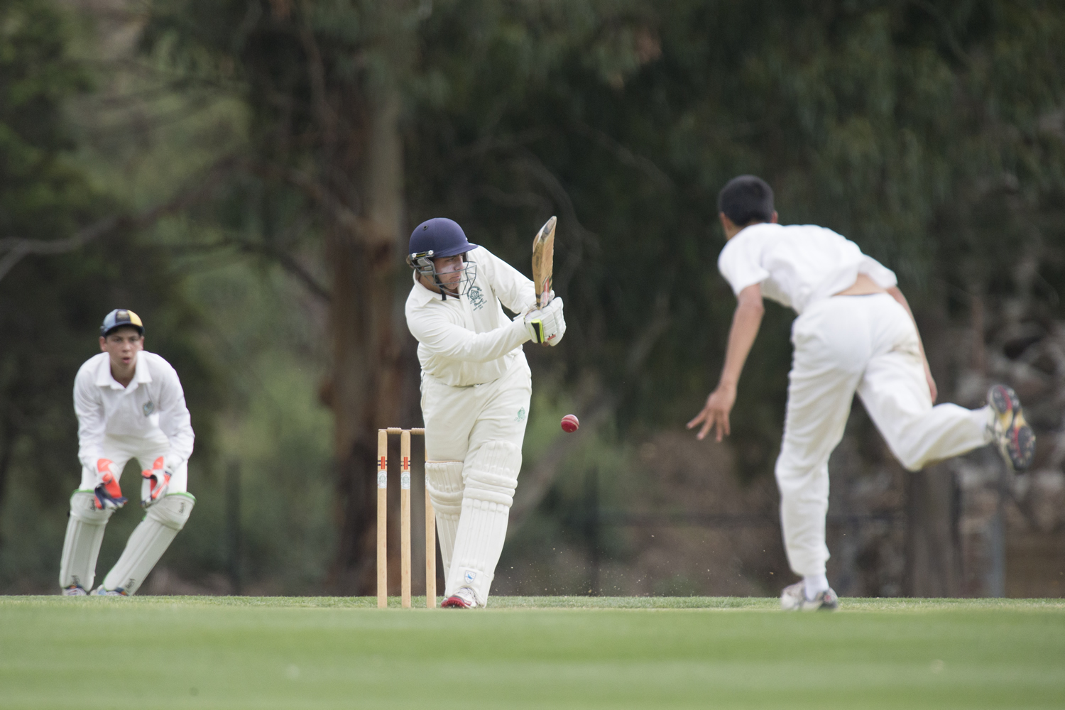 School Boys Cricket